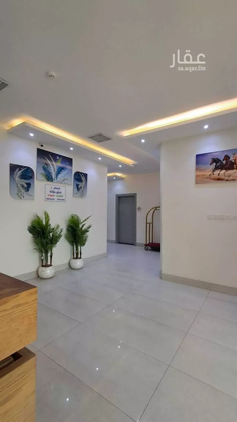 1 bedroom apartment in Al Maizilah 11