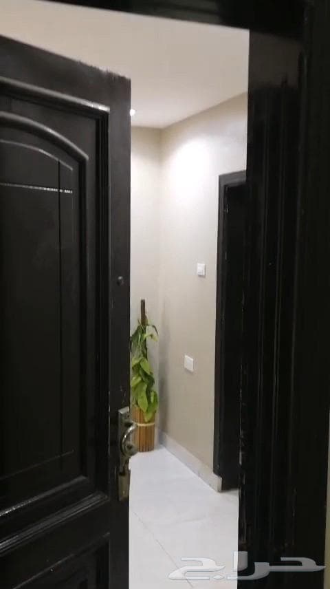 شقة 12 غرف في أبو جعالة 1