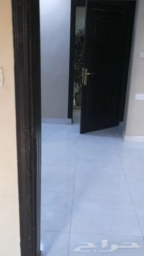 شقة 12 غرف في أبو جعالة 3