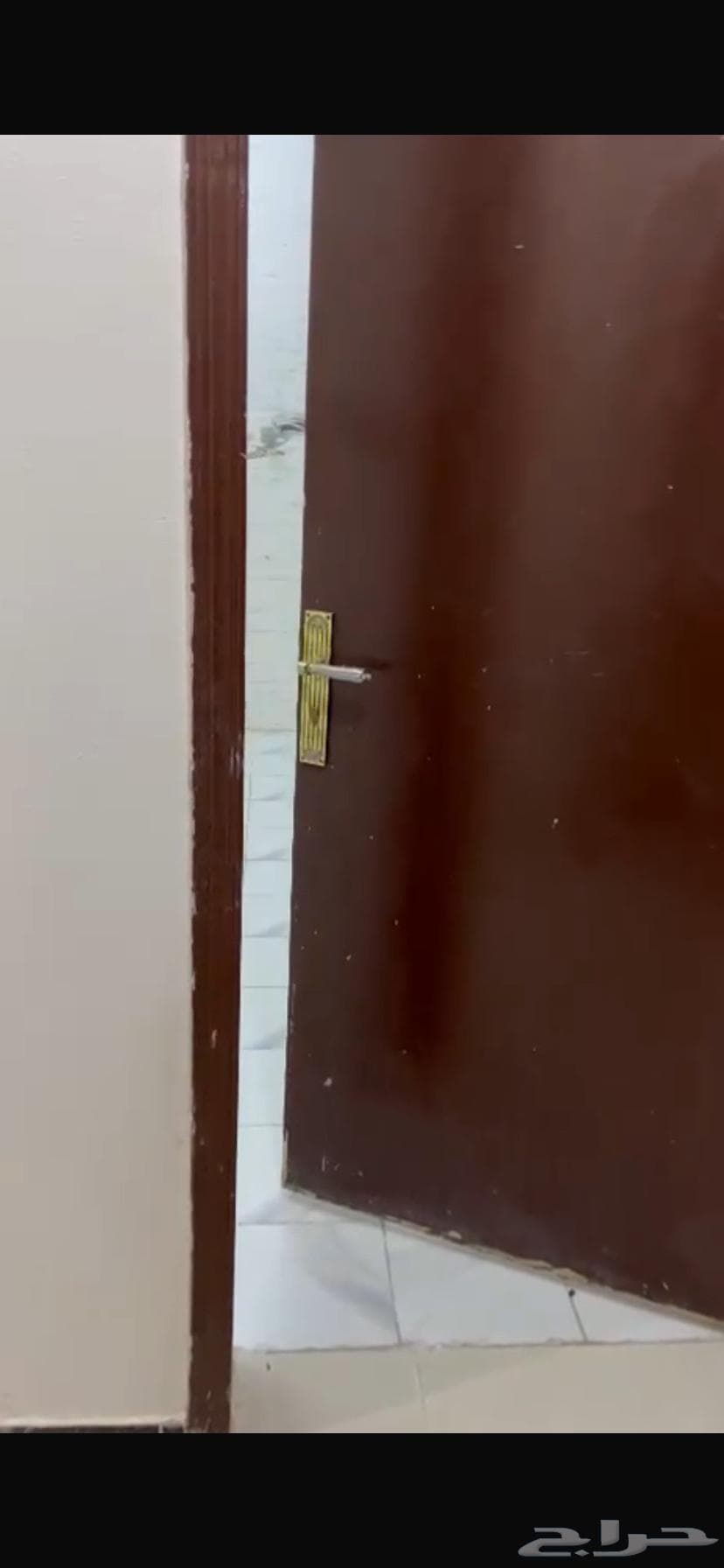 3 bedroom apartment in Al Rimal 4