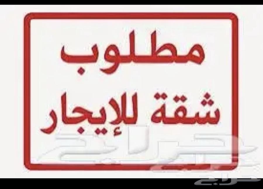 3 bedroom apartment in النطوف