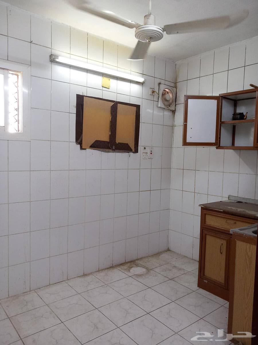 1 bedroom apartment in Sikkat Al Hadeed 19