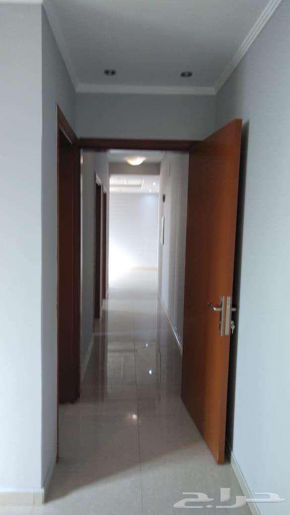 شقة 2 غرف في الملز 1