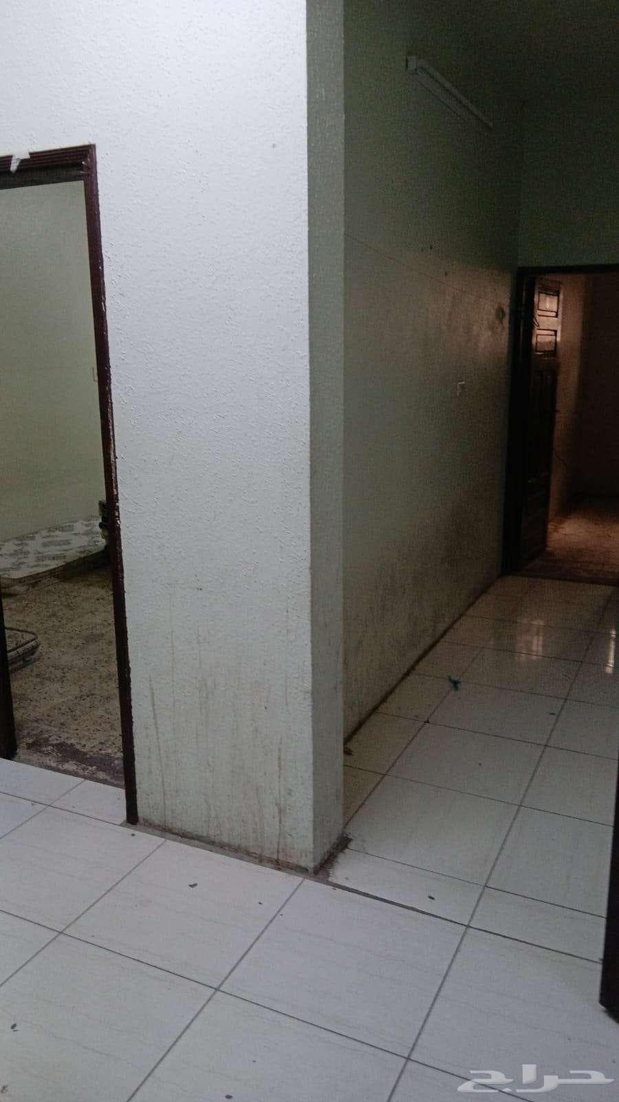 2 bedroom apartment in Al Thuqbah 3
