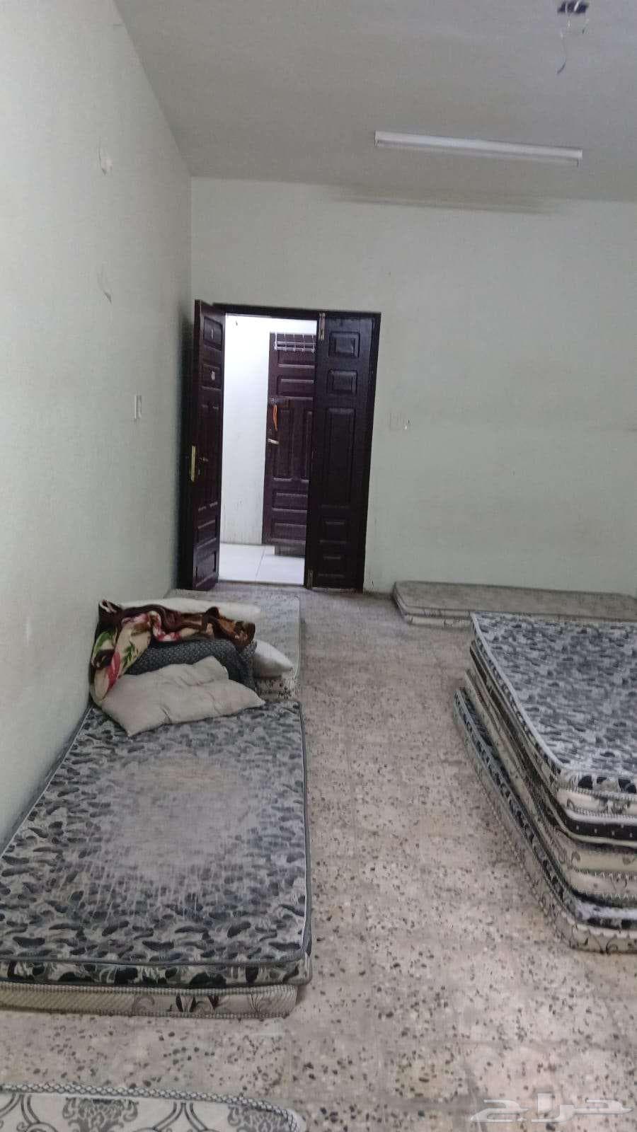 2 bedroom apartment in Al Thuqbah 4