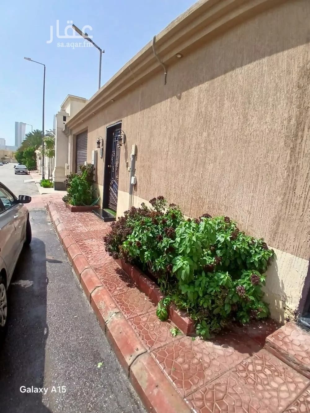 شقة 1 غرف في العقيق