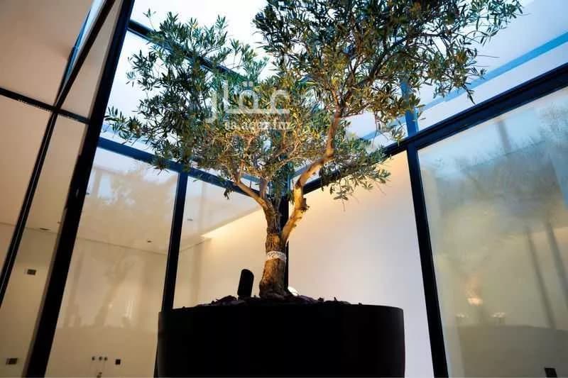 شقة 4 غرف في النرجس 4