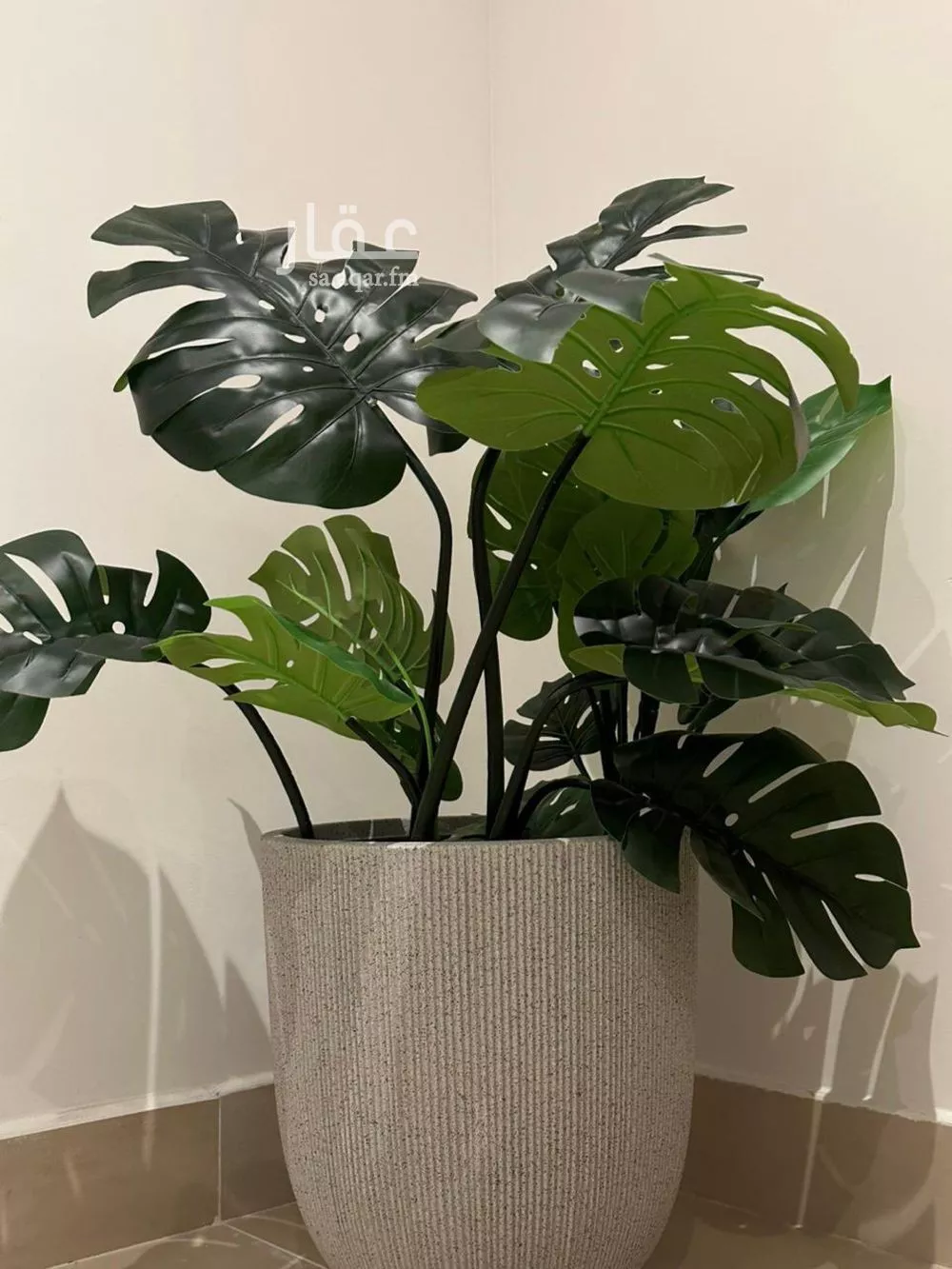 شقة 3 غرف في قرطبة 7