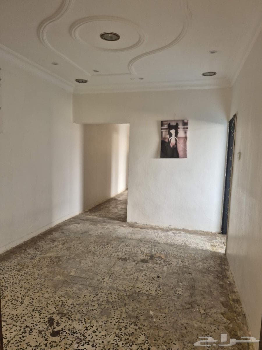 شقة 3 غرف في الحفيرة 4