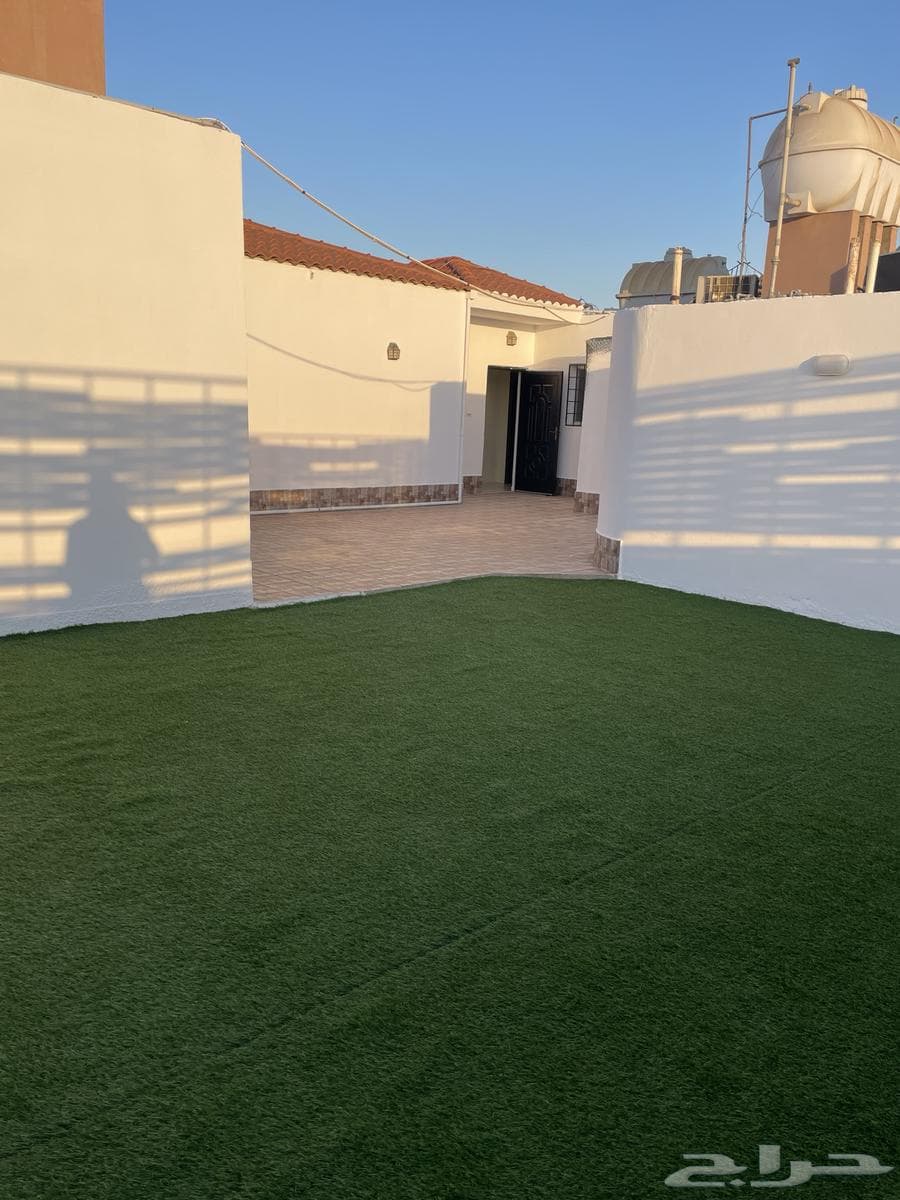 شقة 3 غرف في الربوة 2