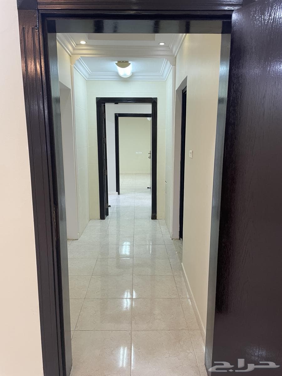 شقة 3 غرف في الربوة 12