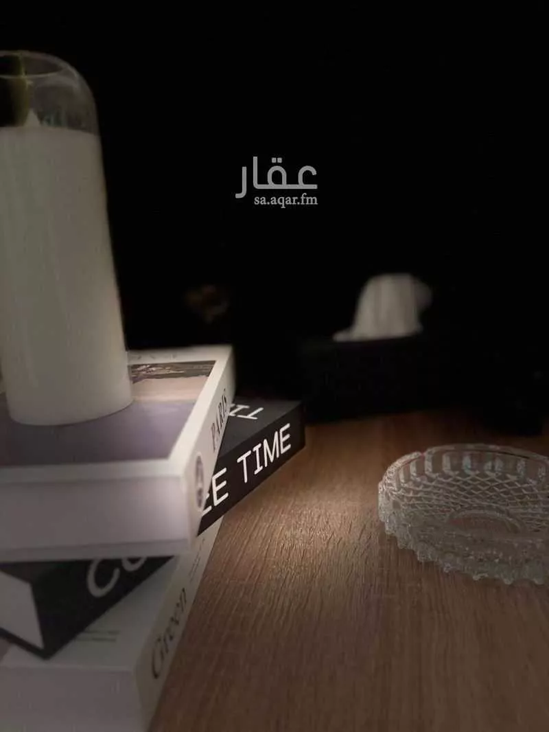 شقة 2 غرف في العقيق 15