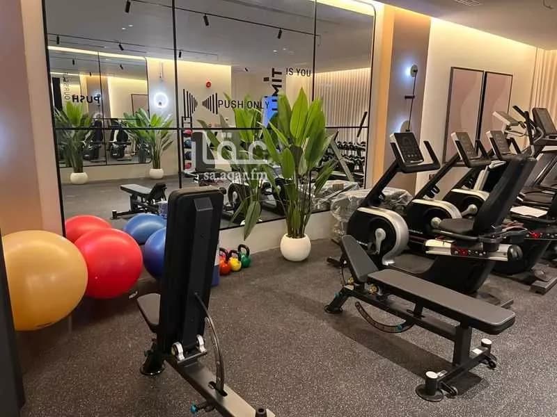 شقة 2 غرف في السليمانية 13