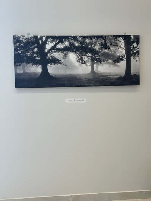 شقة 1 غرف في العارض 1