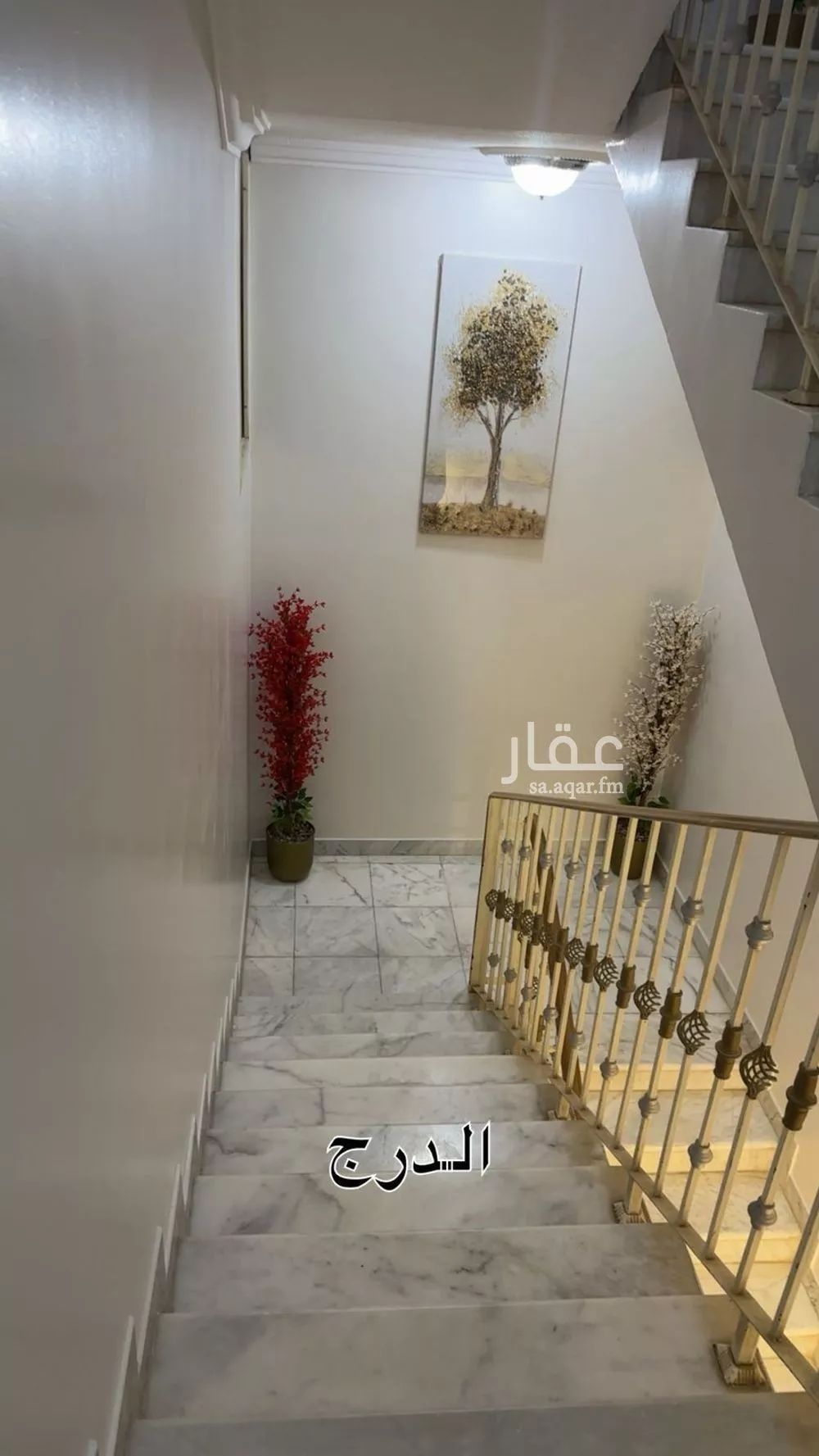 دور 1 غرف في المعيزلة 2