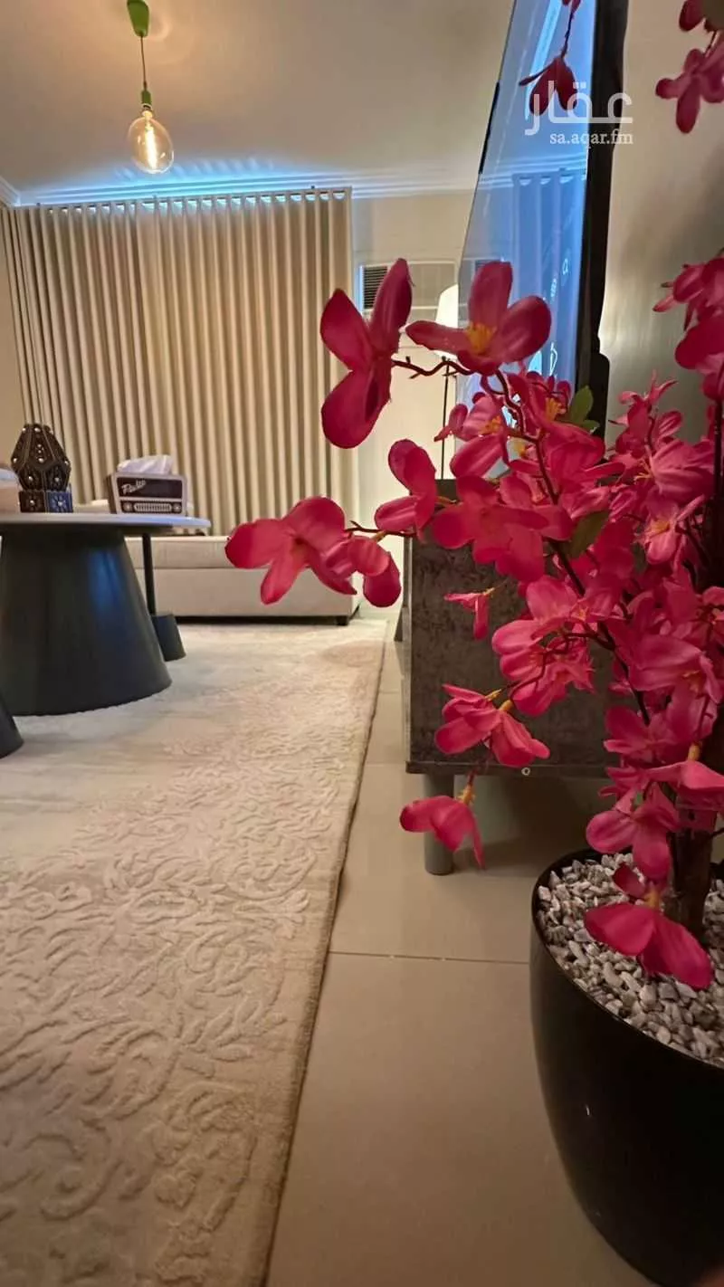 شقة 2 غرف في بدر 11