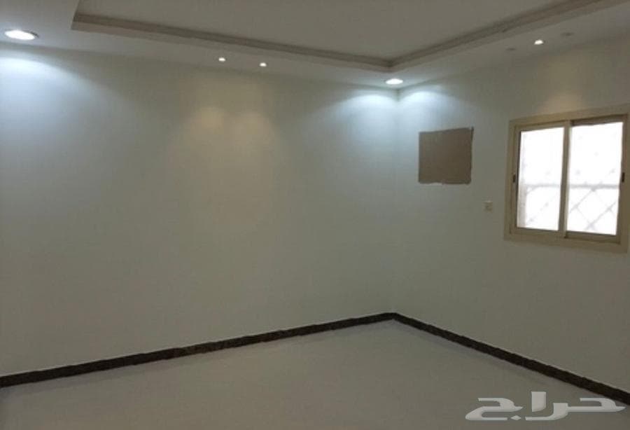 شقة 2 غرف في القادسية 8