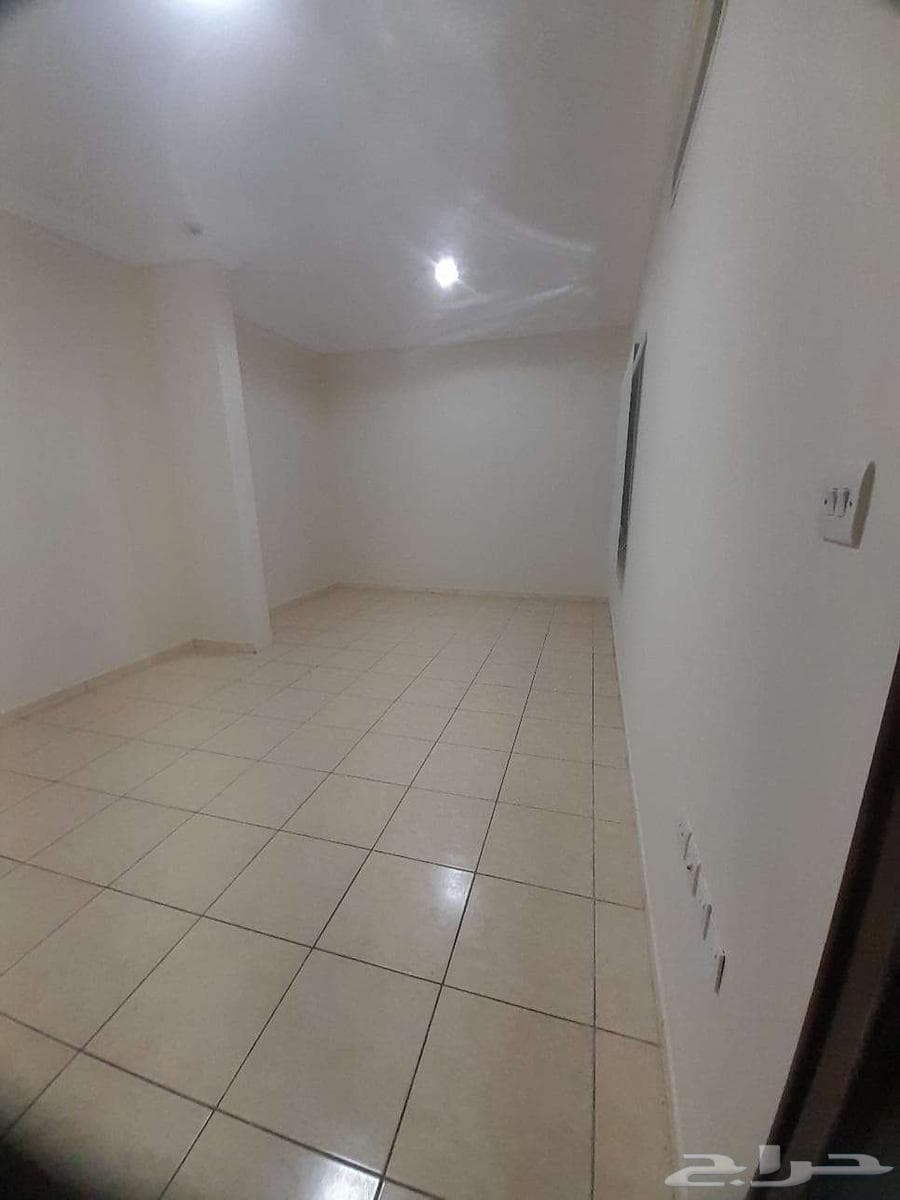 شقة 2 غرف في الصفا 1