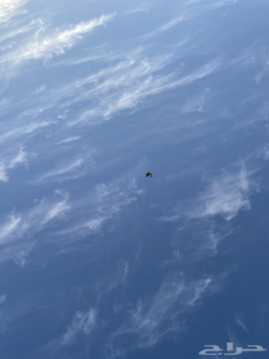 شقة  في الحمدانية