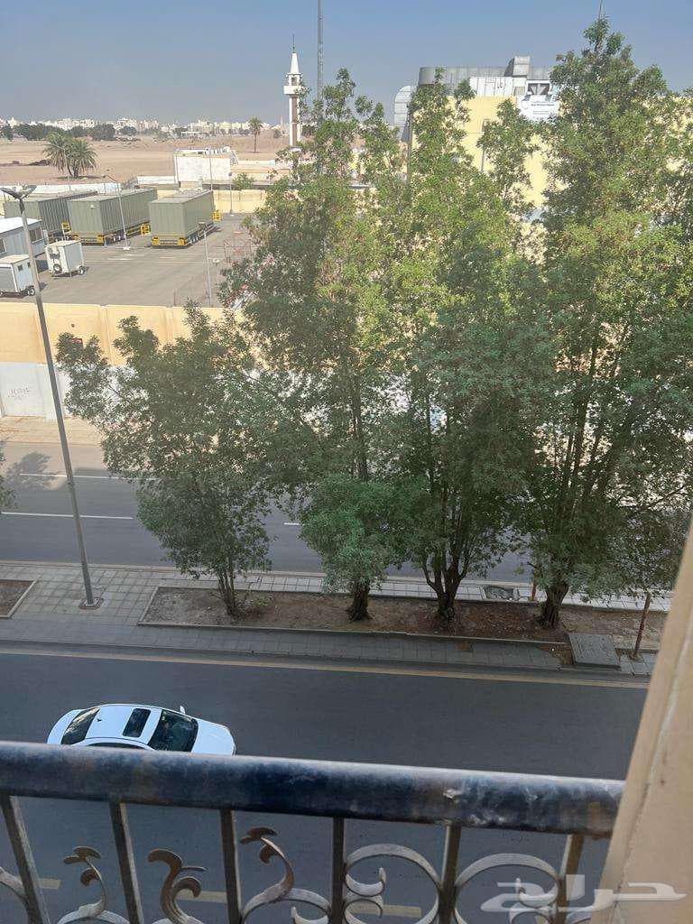 شقة 2 غرف في مشرفة 4