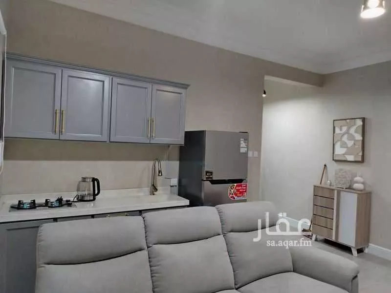 شقة 1 غرف في العقيق 2
