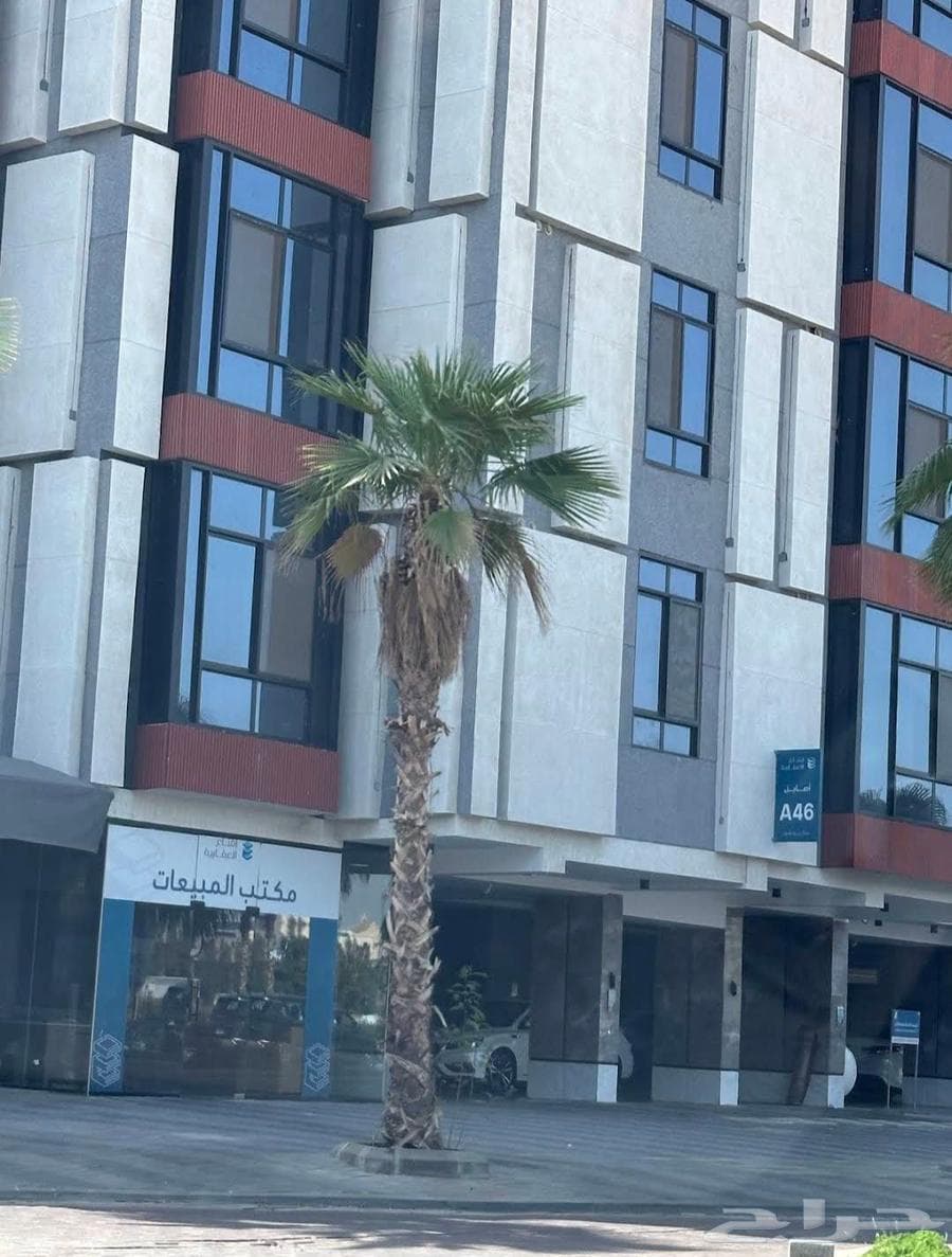 شقة  في الفيحاء 1