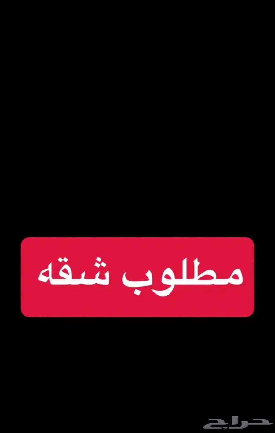 شقة  في السد