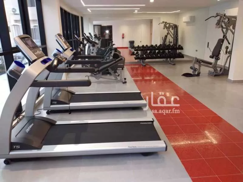 شقة 1 غرف في الضباط 1