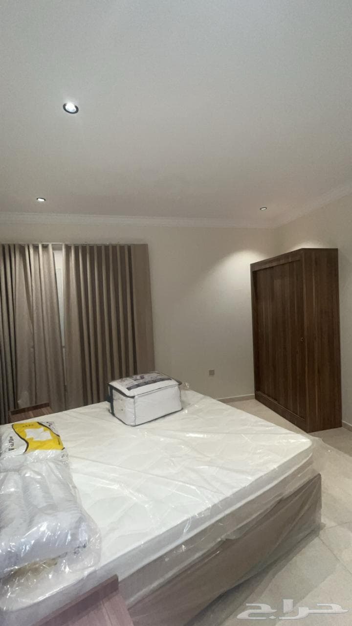 شقة 1 غرف في الضباط 1