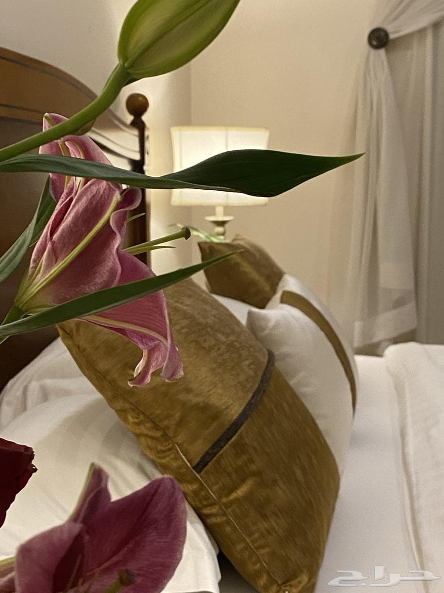 1 bedroom apartment in Al Salamah 47