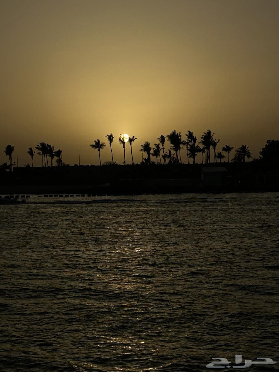 شقة 4 غرف في الزهور