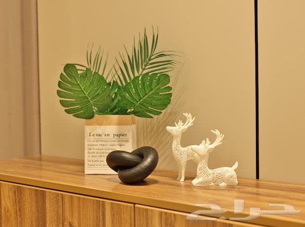 شقة 2 غرف في الحمرا 4