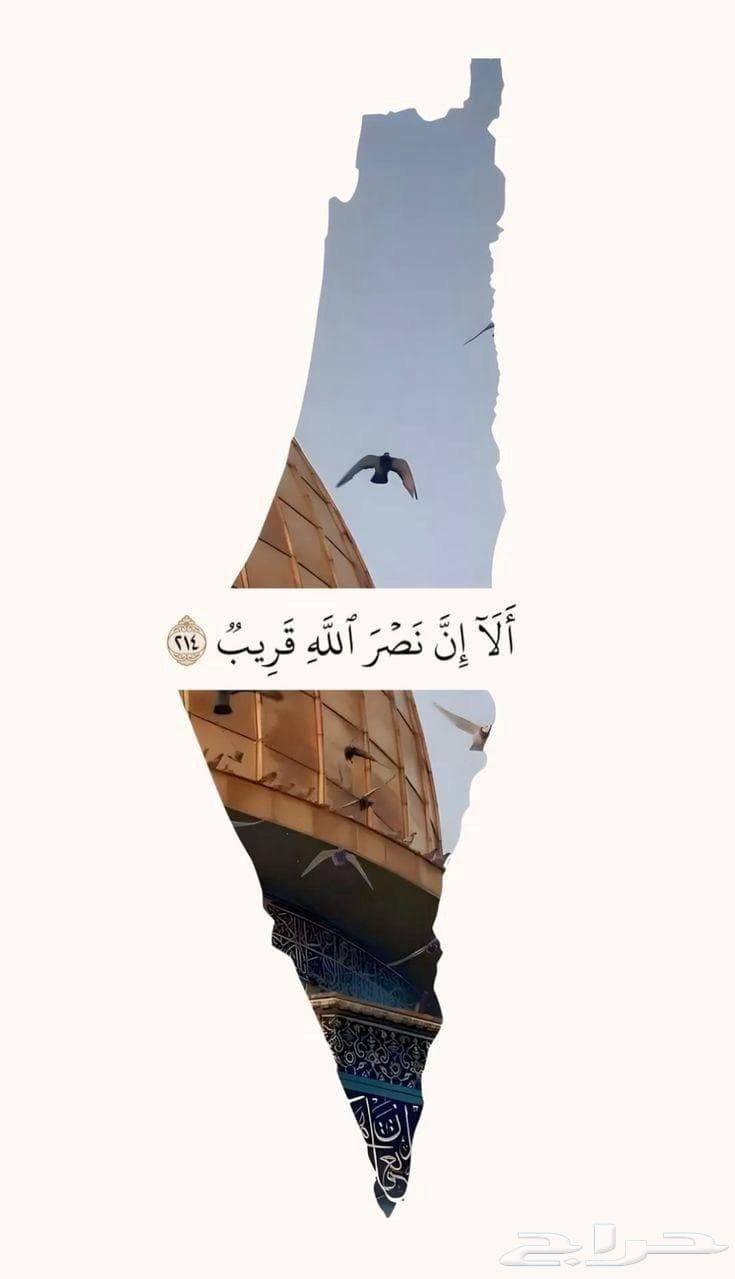 3 bedroom apartment in King Fahd