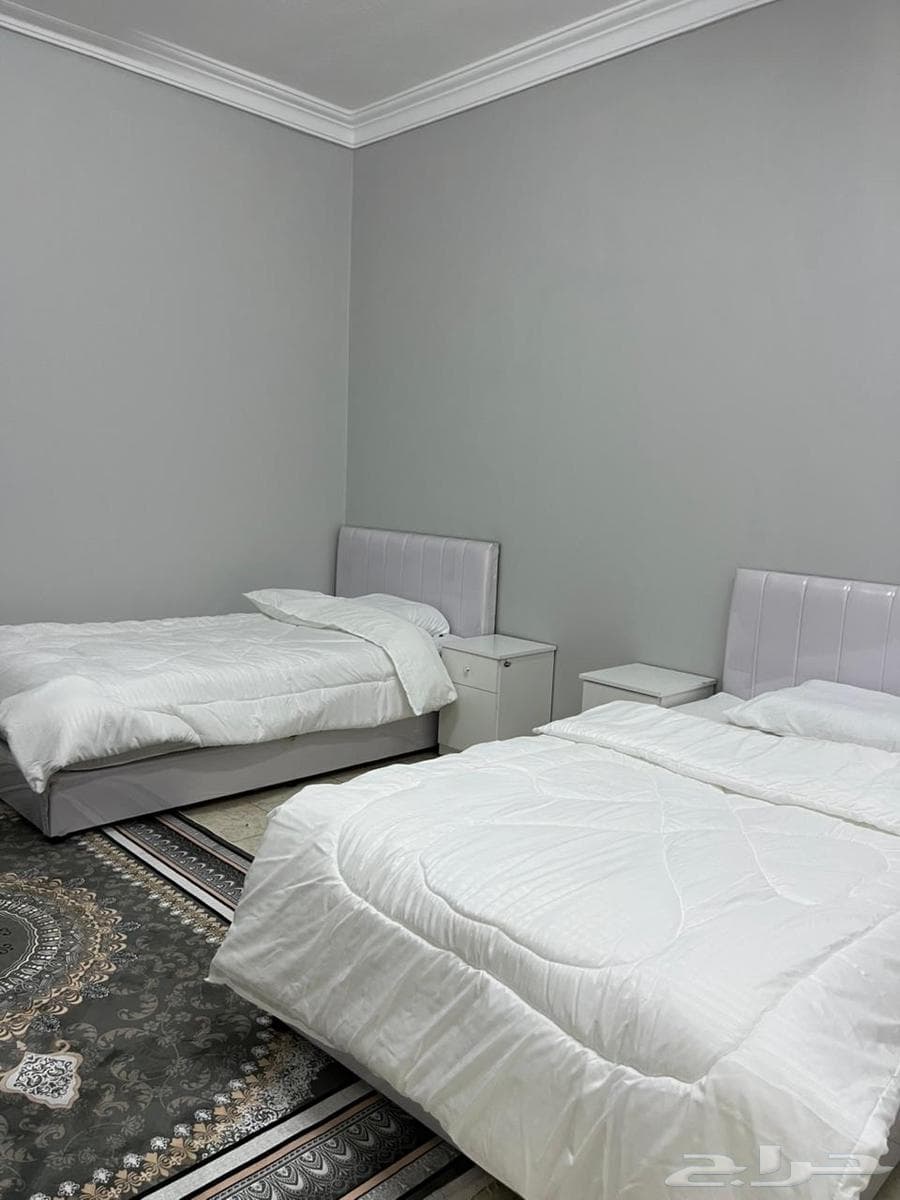 شقة 2 غرف في المحمدية 1