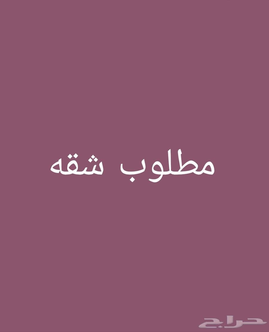 شقة  في بني عبدالاشهل