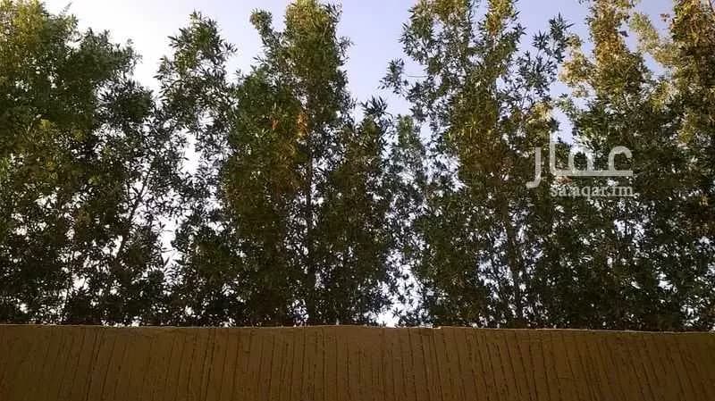 فيلا 6 غرف في الشعلة 17