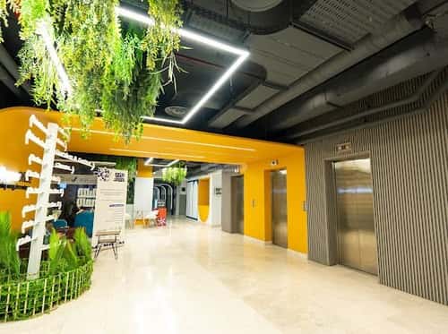 9000 sqm office in As Suwaidi 19