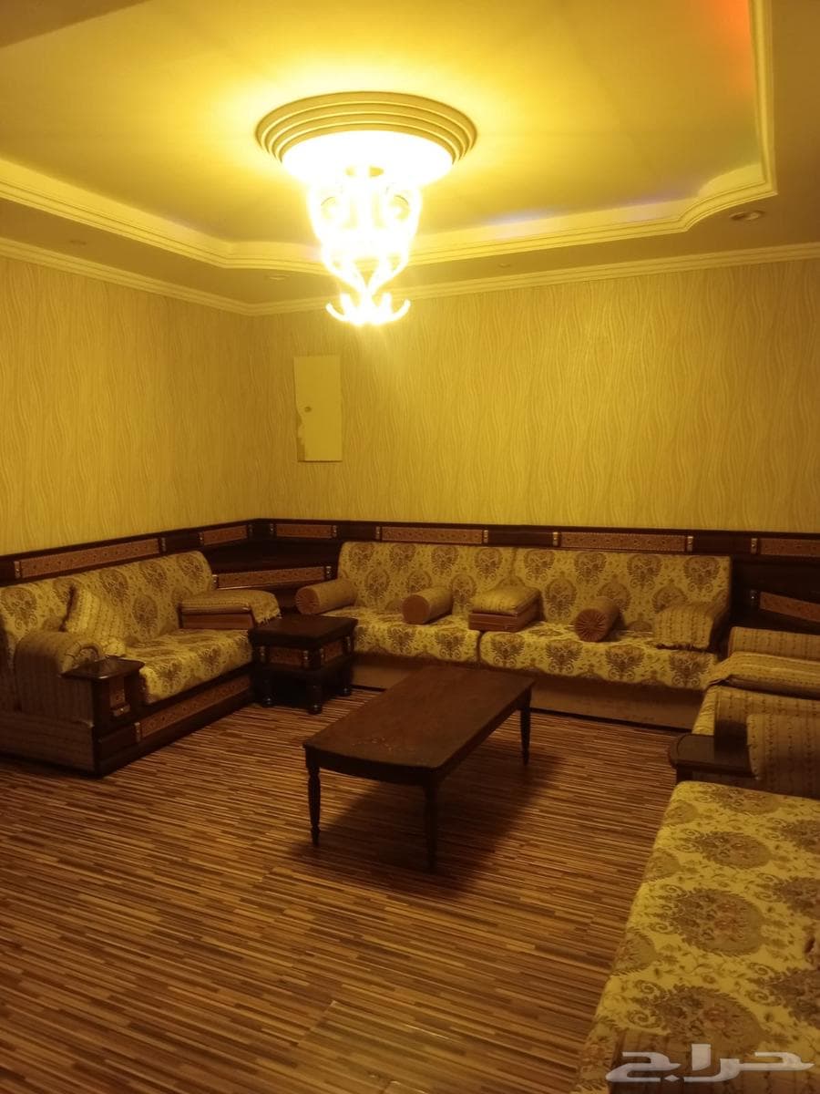 شقة 3 غرف في الربوة 7