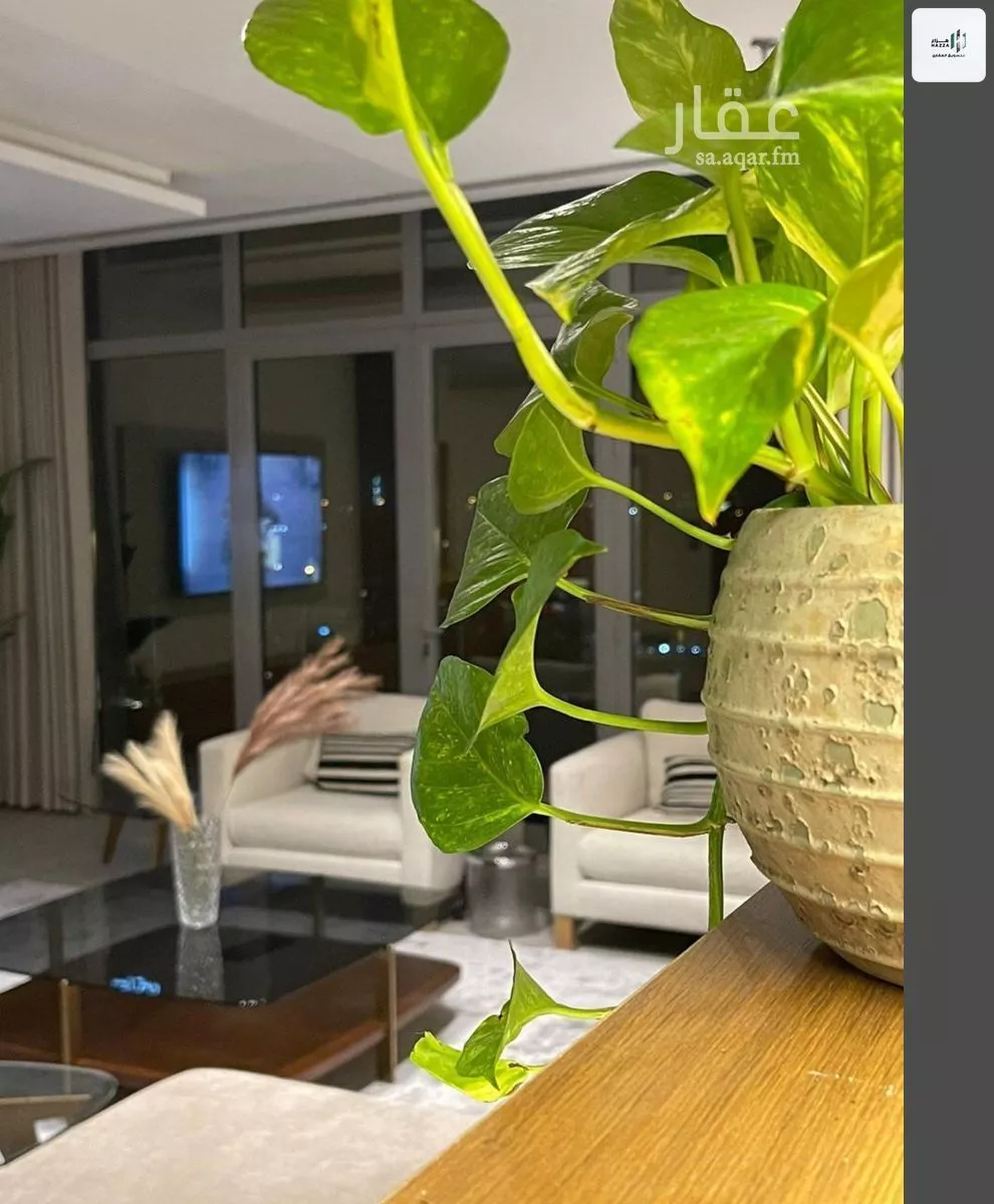 شقة 3 غرف في الصحافة 22