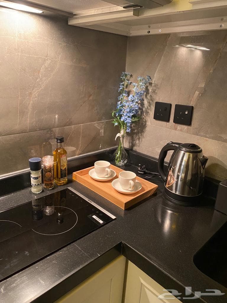 1 bedroom apartment in Hittin 8